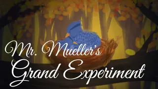 Mr. Mueller's Grand Experiment