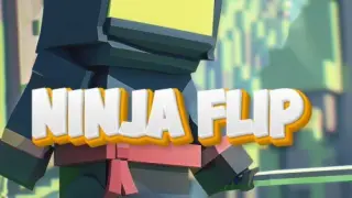 Ninja Flip - Switch