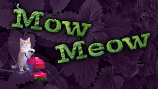 Mow Meow