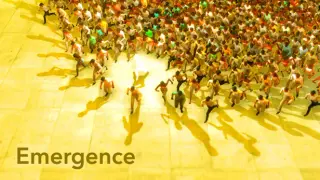 Emergence