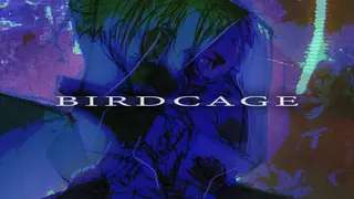 BIRDCAGE