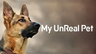 My UnReal pet