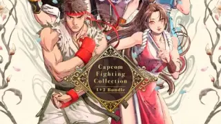 Capcom Fighting Collection 1 + 2 Bundle - Switch