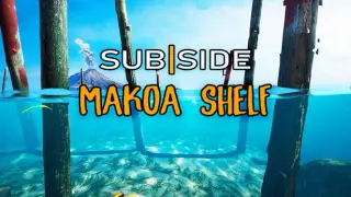 Subside - Makoa Shelf