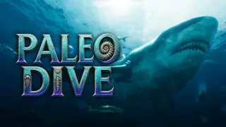 Paleo Dive