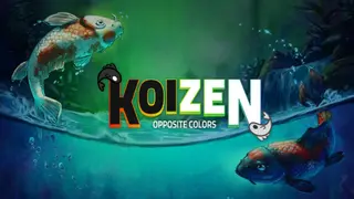 Koi Zen: Opposite Colors