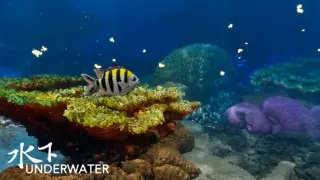 Underwater