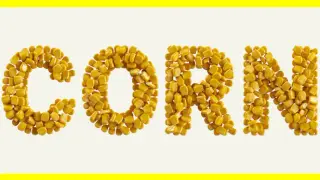 CORN