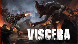 Viscera