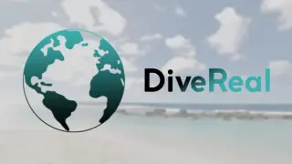 DiveReal (inactive, stopped)