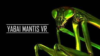 YABAI MANTIS VR