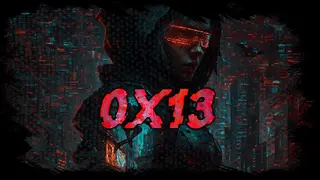 0X13