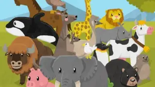 Animal Fun for Toddlers and Kids - Switch