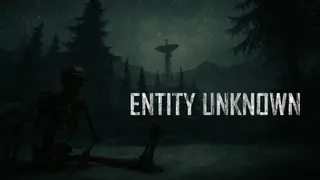 Entity Unknown