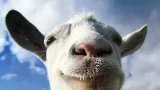 Goat Simulator