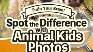 Train Your Brain! Spot the Difference with Animal Kids Photos - Switch