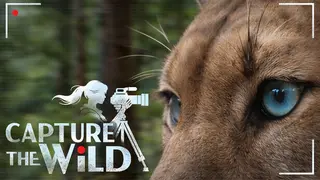 Capture The Wild