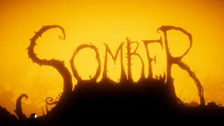 Somber