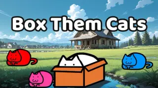 Box Them Cats