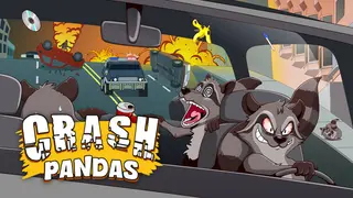 Crash Pandas