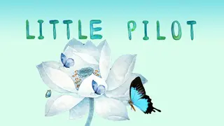 Little pilot