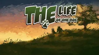 The Life of One Dog