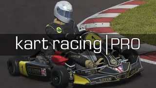 Kart Racing Pro