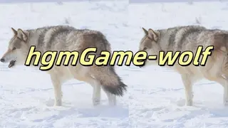 hgmGame-wolf