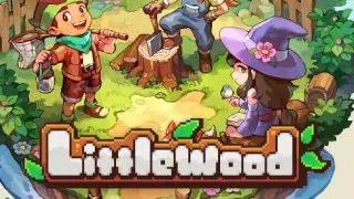 Littlewood - Switch