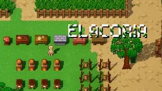 Elacoria