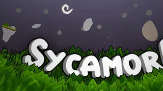 Sycamore