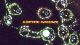 Substrate: Emergence