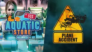 Plane Accident in Aquatic Store