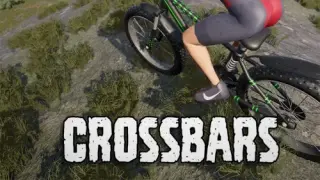 Crossbars - Switch