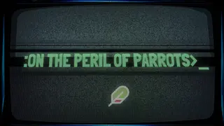 On the Peril of Parrots