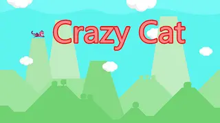 Crazy Cat