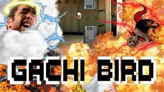 Gachi Bird