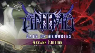 Anima: Gate of Memories - Arcane - Switch