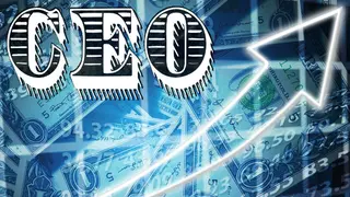 这个CEO我当定了！