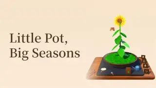 Little Pot, Big Seasons