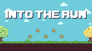 INTO THE RUN