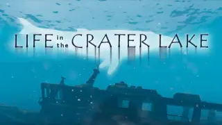 Life in the Crater Lake