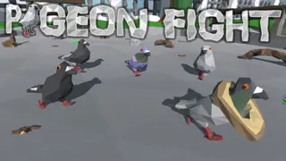 Pigeon Fight