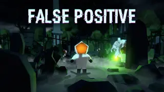False Positive