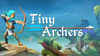 Tiny Archers VR