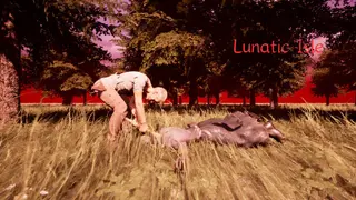 Lunatic Isle