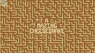 A Mazing Cheesesnake