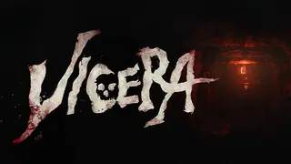 Vicera