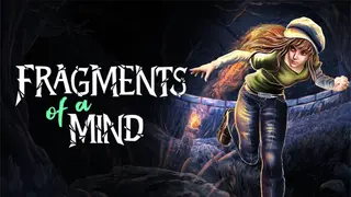 Fragments Of A Mind