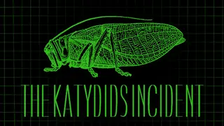 Katydids